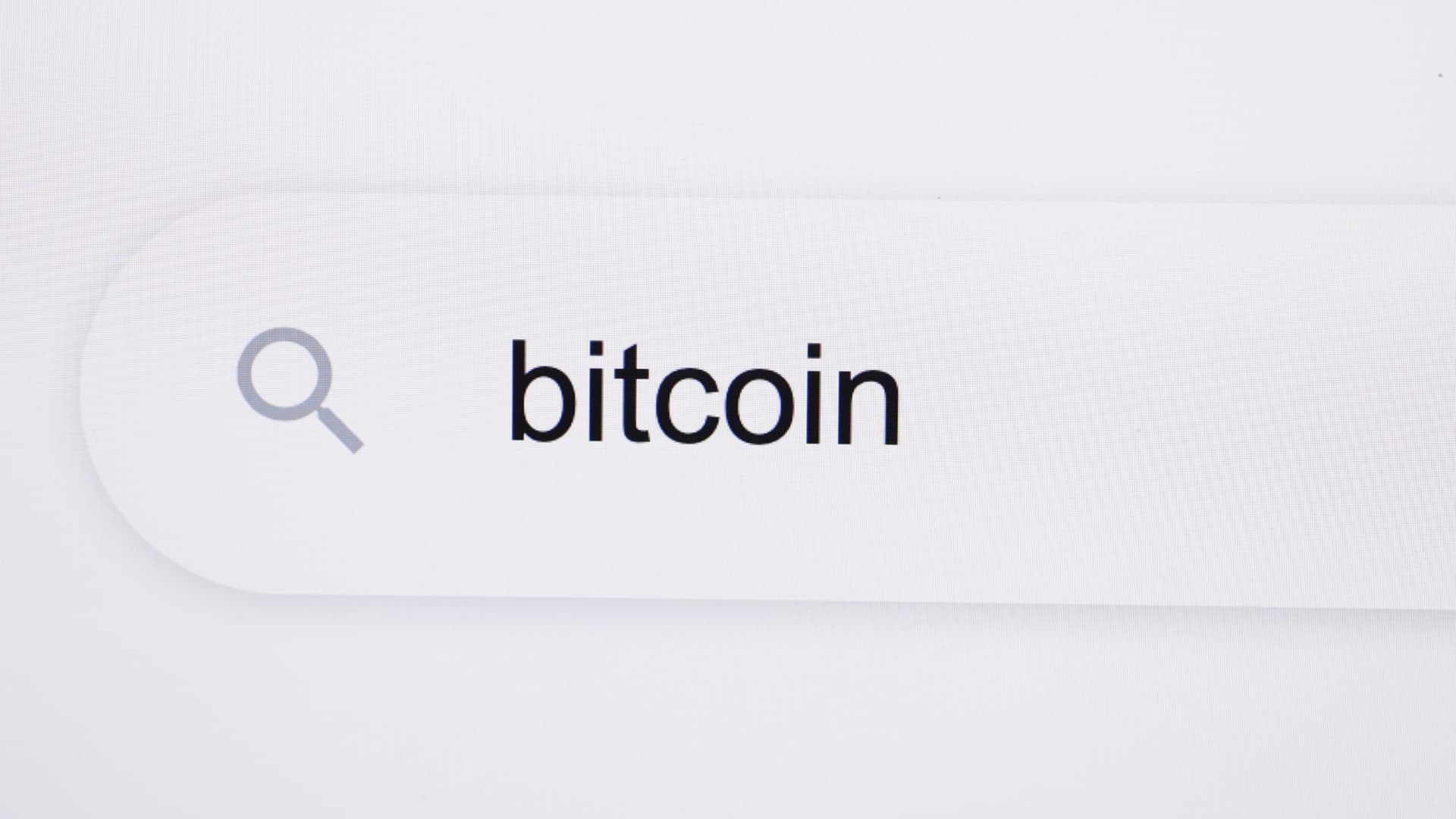 Bitcoin and cryptocurrency search