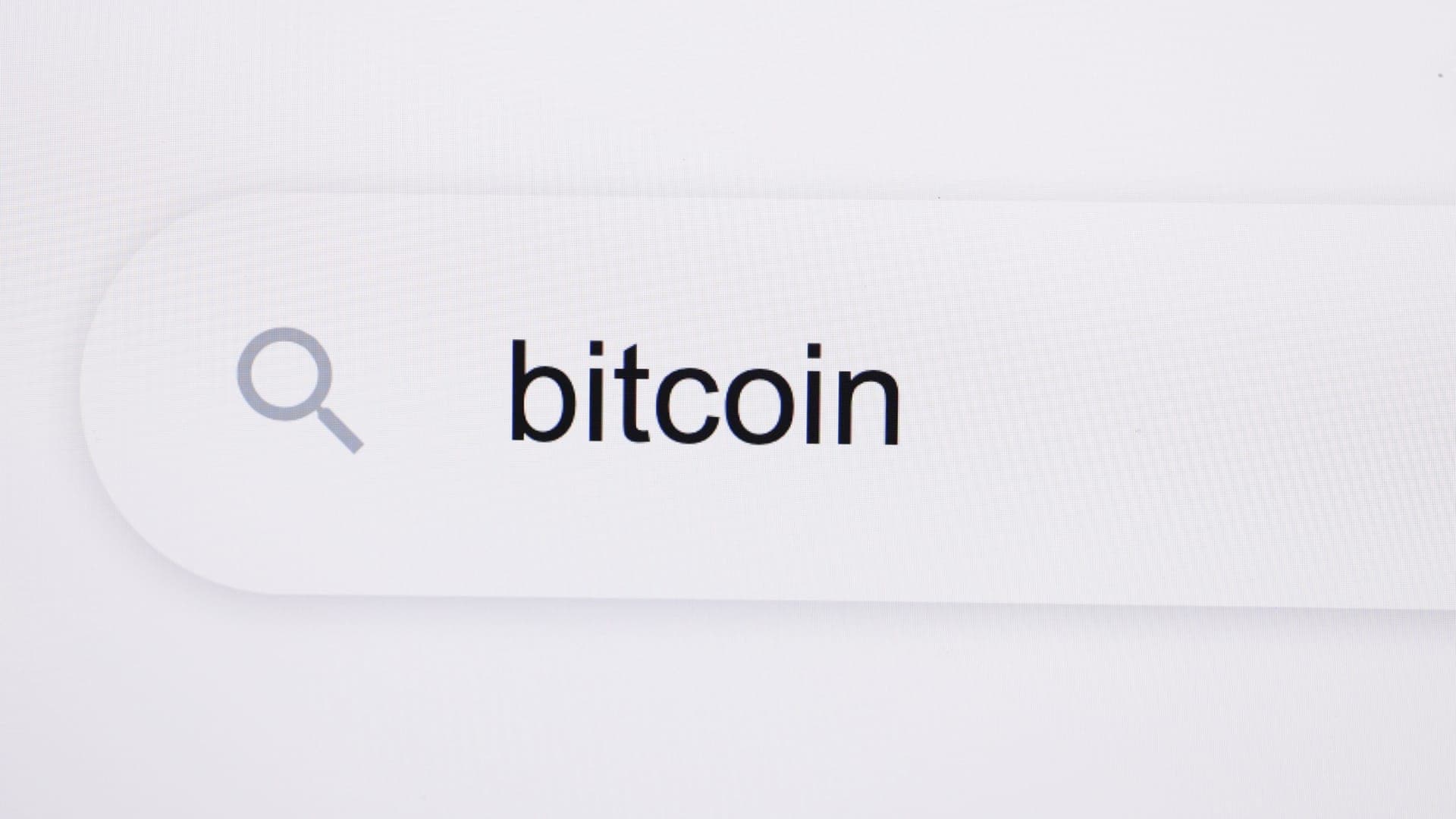 Bitcoin and cryptocurrency search