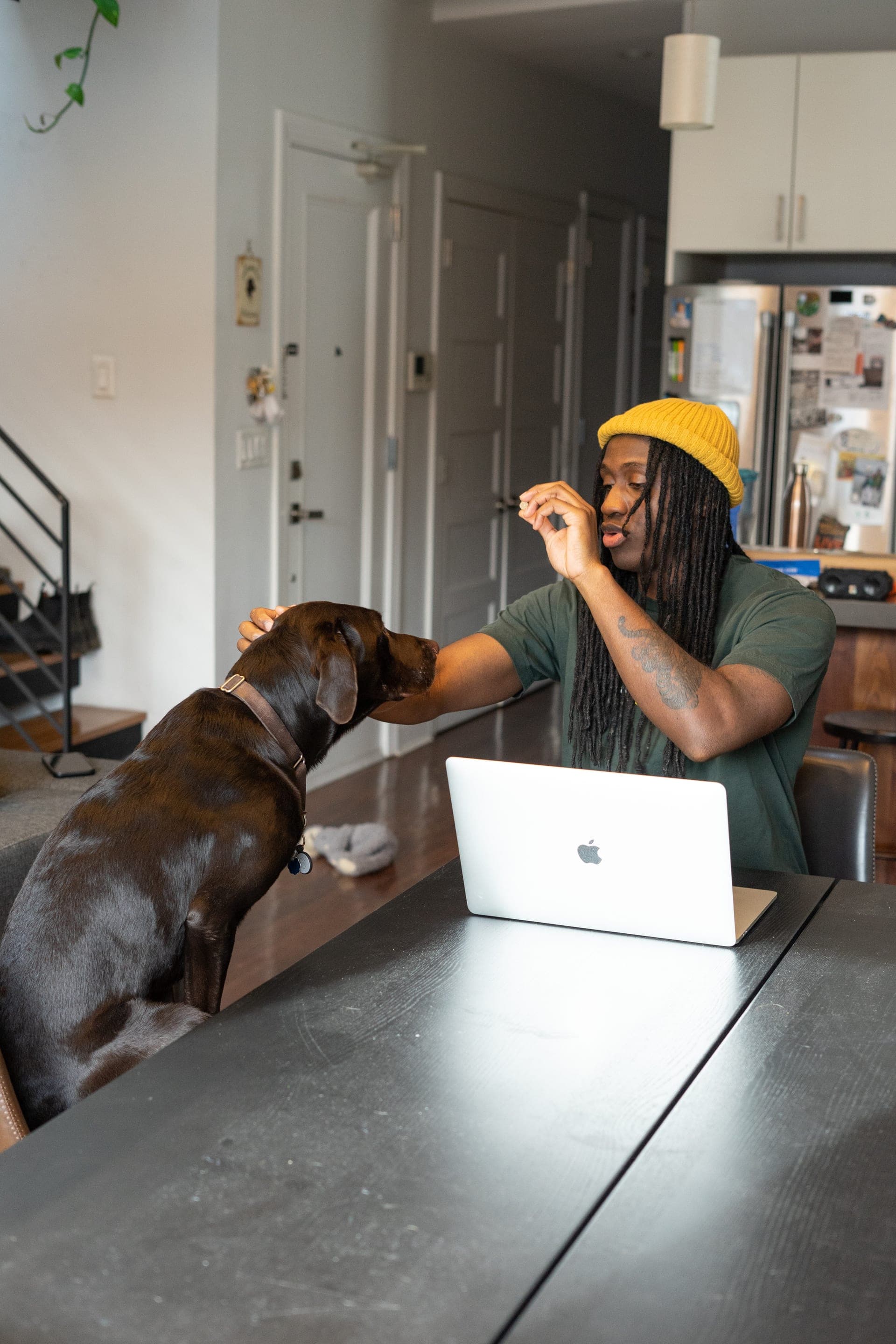 A person working at a kitchen table at home, greeting their dog.